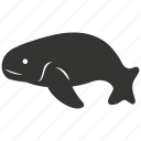 dugong, marine mammal, herbivore, seagrass, endangered, aquatic