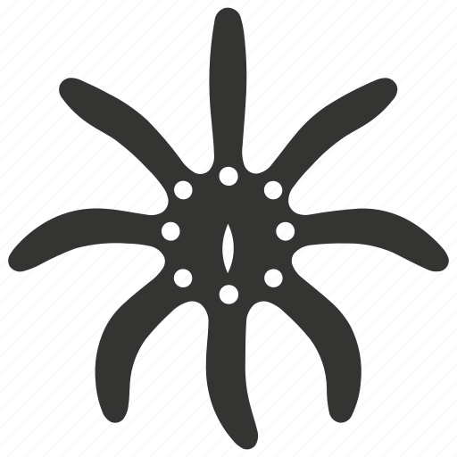 Brittle star, echinoderm, arms, ophiuroids, marine invertebrate, tube feet icon - Download on Iconfinder