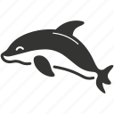 beluga whale, cetacean, white whale, arctic, aquatic, vocalization