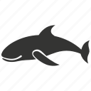 sperm whales, cetacean, toothed whale, deep-diving, aquatic, spermaceti