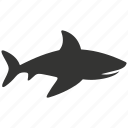 nurse shark, elasmobranch, bottom-dweller, aquatic, slow-moving, conservation