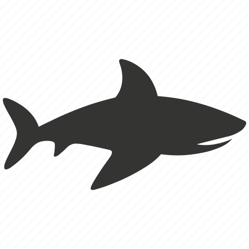Nurse shark, elasmobranch, bottom-dweller, aquatic, slow-moving, conservation icon - Download on Iconfinder