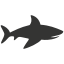 nurse shark, elasmobranch, bottom-dweller, aquatic, slow-moving, conservation 