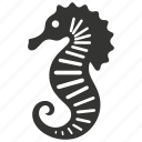 seahorse, marine fish, unique, aquarium, hippocampus, curled tail