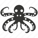 ringed octopus, cephalopod, venomous, camouflage, tentacles, intelligence