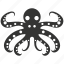 ringed octopus, cephalopod, venomous, camouflage, tentacles, intelligence 