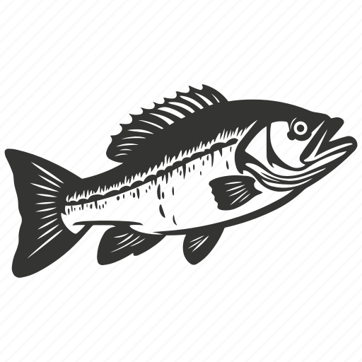 Bass fish, freshwater, game fish, predator, aquatic, sportfishing icon - Download on Iconfinder