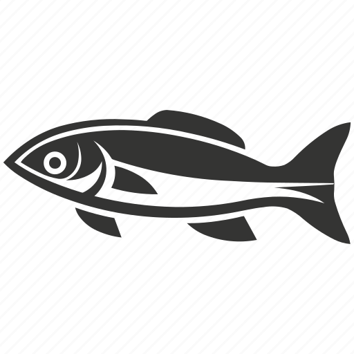Sardine fish, small fish, schooling, oily, pelagic, mediterranean icon - Download on Iconfinder