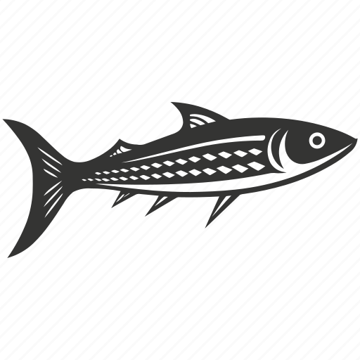 King mackerel fish, pelagic, commercial fishing, game fish, aquatic, oceanic icon - Download on Iconfinder