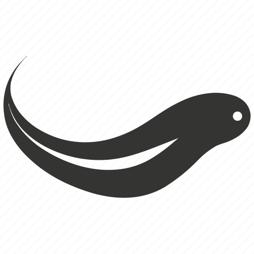 Ribbon eel, moray eel, colorful, marine, exotic, aquarium icon - Download on Iconfinder