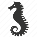 sea horse, seahorse, marine, curled tail, aquarium, unique