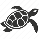 sea turtle, marine reptile, shell, conservation, nesting, endangered