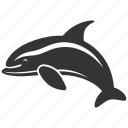 porpoise, marine mammal, cetacean, small, aquatic, harbor porpoise