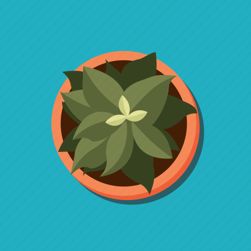 Botanic, flower, nature, office, plant, pot icon - Download on Iconfinder
