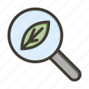 organic search, ecology, search, find, research