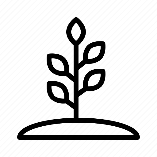 Plant, tree, life, seeds icon - Download on Iconfinder