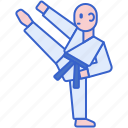 taekwondo, karate, martial, sports