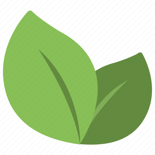 Foliage, fresh leaves, green leaves, herbal ingredients, herbs icon - Download on Iconfinder
