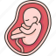 amniotic, fluid, fetus, womb, pregnant 