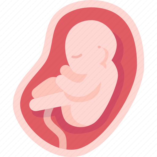 Amniotic, fluid, fetus, womb, pregnant icon - Download on Iconfinder
