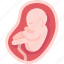 amniotic, fluid, fetus, womb, pregnant 