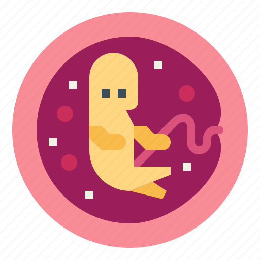 Baby, biology, embryo, pregnancy icon - Download on Iconfinder