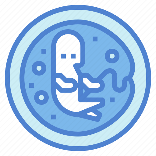 Baby, biology, embryo, pregnancy icon - Download on Iconfinder