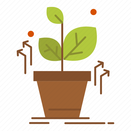 Grow, grown, plant, success icon - Download on Iconfinder