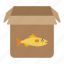 box, delivery, fish, gift, ice, parcel 