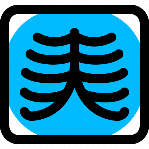 Bone, radiology, xray icon - Download on Iconfinder