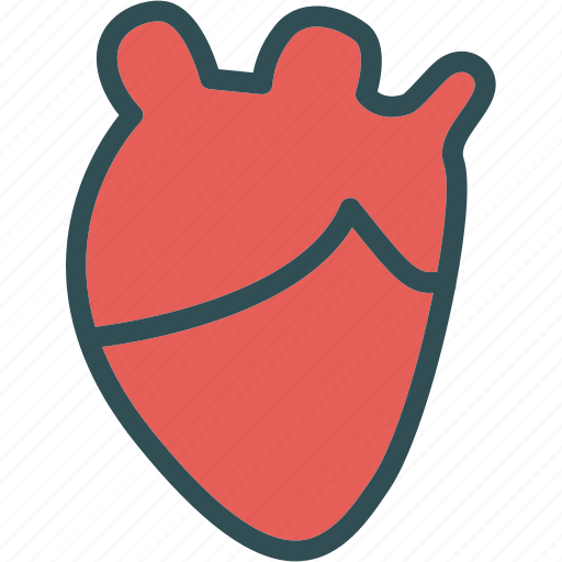 Heart, human, love, organ icon - Download on Iconfinder