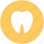 dental, dentistry, human teeth, molar, stomatology, teeth, tooth 