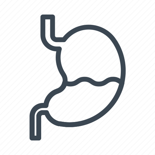 Acid, gastric, human, medical, stomach icon - Download on Iconfinder