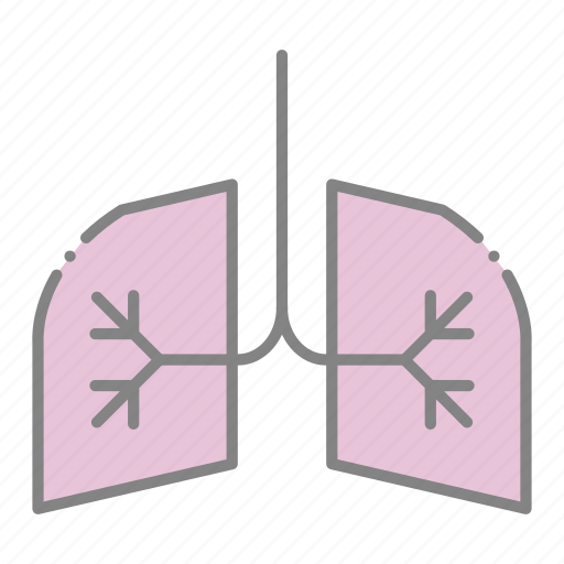Doctor, emergency, health, hospital, lungs, medical, respiratory icon - Download on Iconfinder