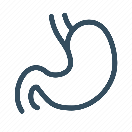 Body, human, medical, stomach icon - Download on Iconfinder