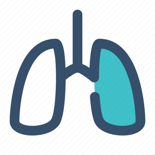 Anatomy, lungs, medical, organ icon - Download on Iconfinder
