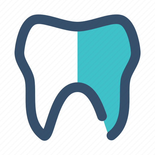 Anatomy, dental, dentist, tooth icon - Download on Iconfinder
