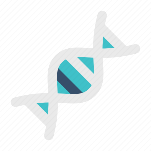 Biology, dna, genetic, genome icon - Download on Iconfinder