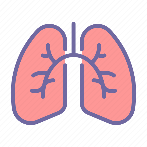 Lungs, anatomy, organ, medical, chest icon - Download on Iconfinder