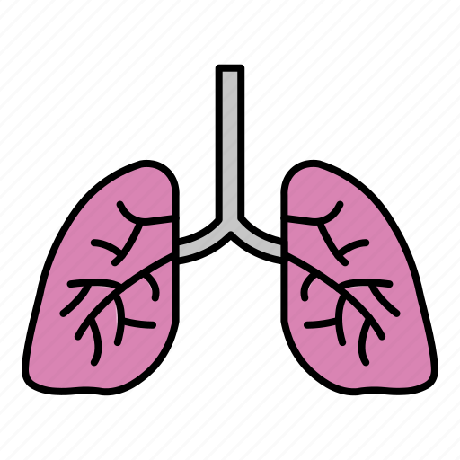 Lungs, lung, organ, anatomy, human, resources icon - Download on Iconfinder