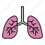 lungs, lung, organ, anatomy, human, resources 