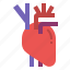 anatomy, heart, human, medicine, organ 