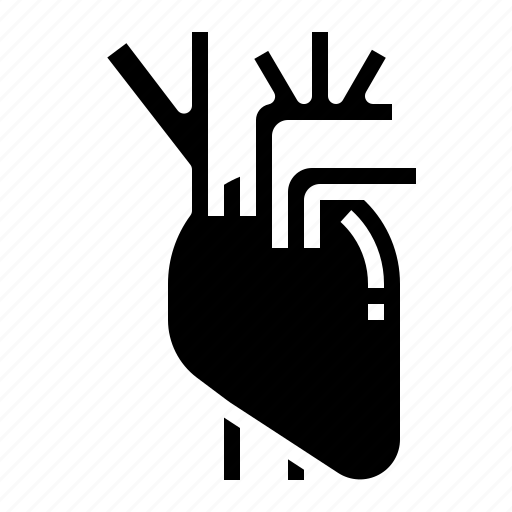 Anatomy, heart, human, medicine, organ icon - Download on Iconfinder