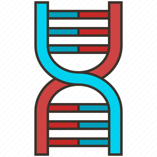 Biotechnology, chemistry, chromosome, dna, genetic icon - Download on Iconfinder