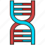biotechnology, chemistry, chromosome, dna, genetic 