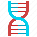 biotechnology, chemistry, chromosome, dna, genetic