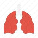 body, clinic, hospital, lungs, organ