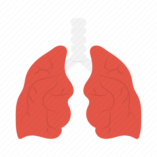 Body, clinic, hospital, lungs, organ icon - Download on Iconfinder