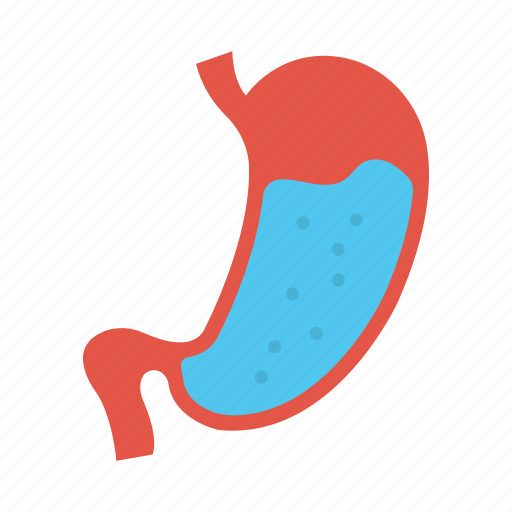 Body, healthcare, medical, organ, stomach icon - Download on Iconfinder
