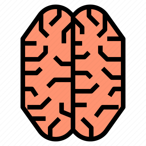 Anatomy, brain, mental, psychology icon - Download on Iconfinder